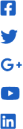 Social icon